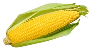 Картинки по запросу кукуруза картинка для детей